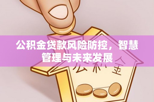 新港公积金贷款风险防控，智慧管理与未来发展